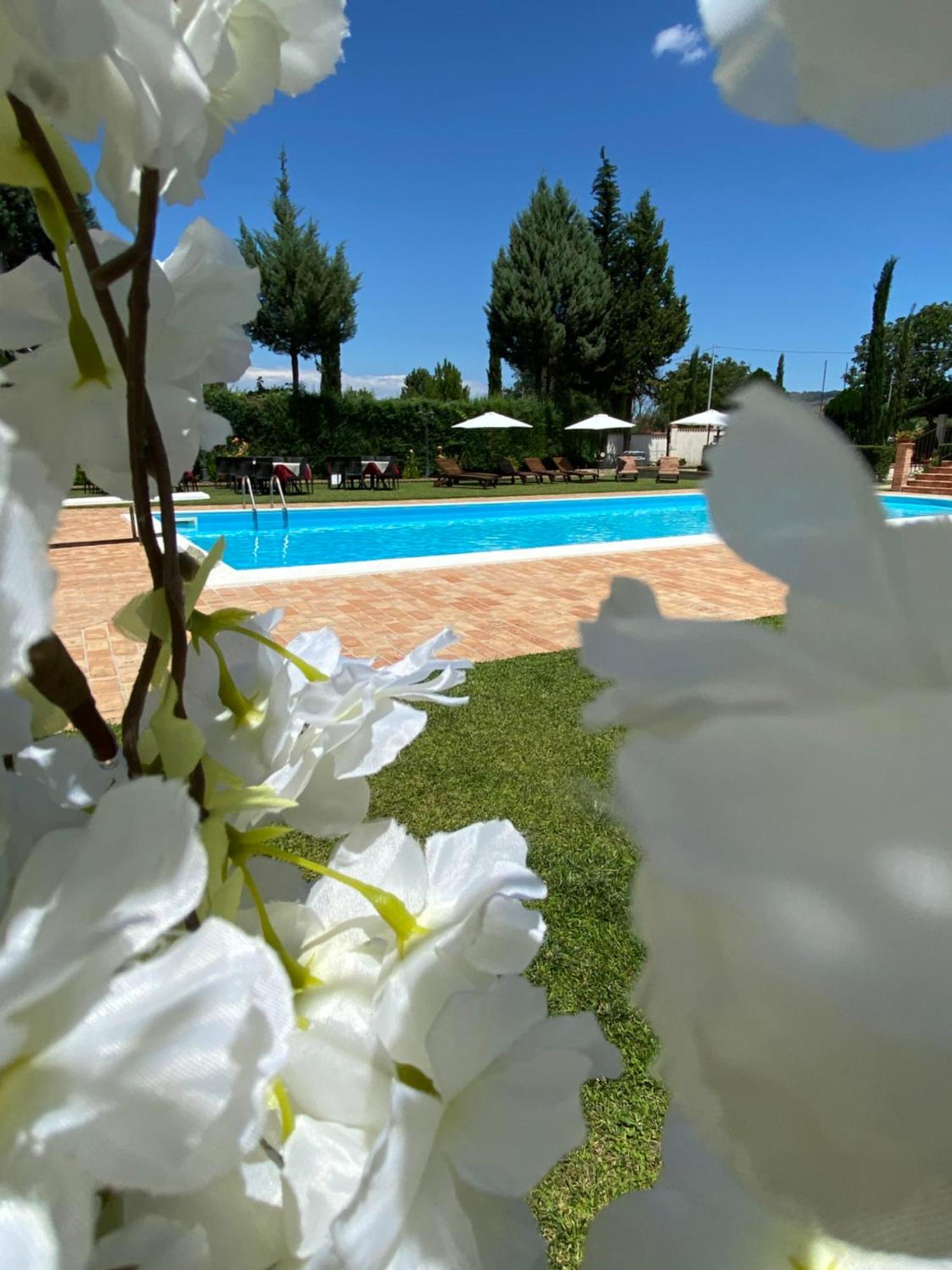 Villa Piero Bisignano ภายนอก รูปภาพ